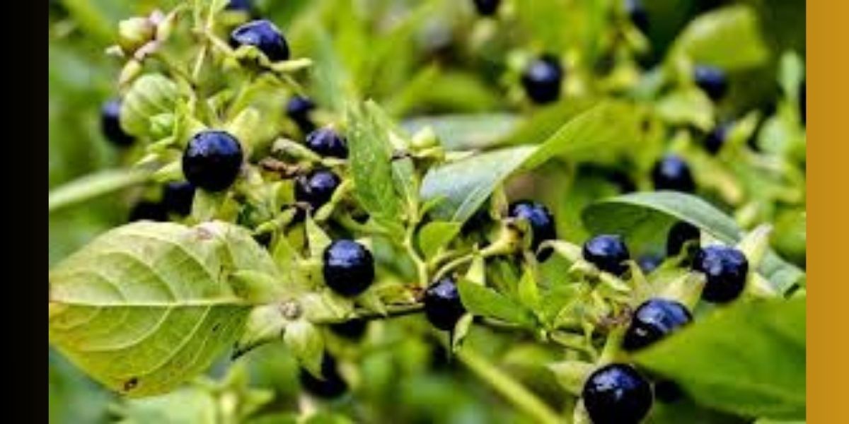 Was ist Nachtschattenlähmung und warum passiert sie im Schlaf?