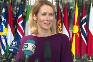 prime minister kaja kallas jung